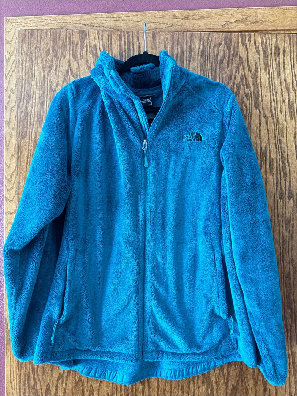 The North Face Women's Bright Teal Plush Fleece Jacket